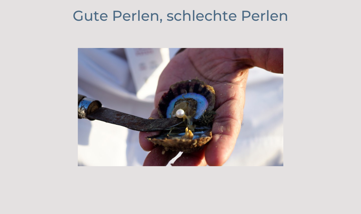 Perlenzucht