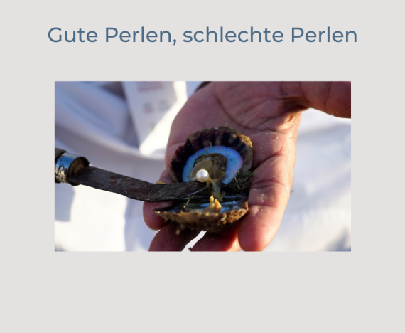 Perlenzucht