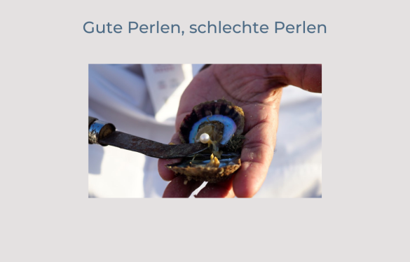 Perlenzucht
